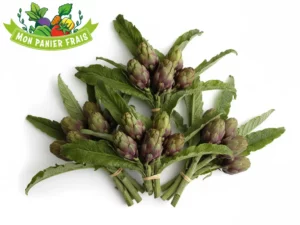 Artichaut bouquet la pièce