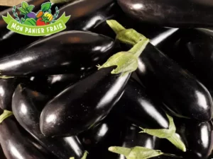 Aubergine la pièce