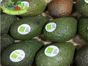 Avocat bio