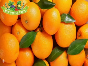 Orange de table Portugal 1kg