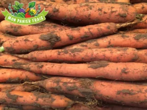 Carotte de sable 1kg