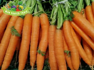 Carotte  fane la botte