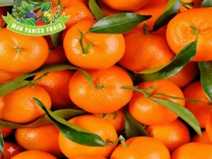 Clémentine Corse 1kg