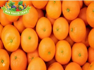 Clémentine Espagne 1kg