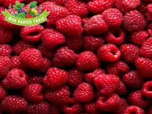 Framboise 125 g