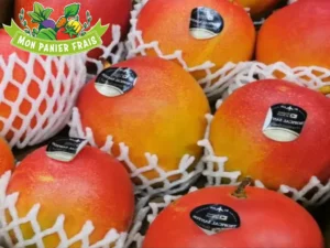 Mangue avion la pièce