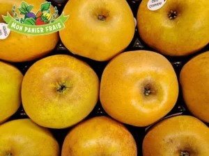 Pomme Canada 1kg