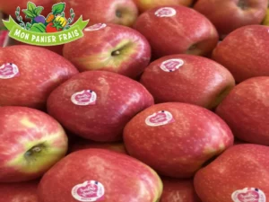 Pomme Pink lady 1kg