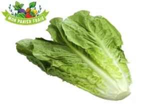 Salade romaine