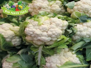 Chou-fleur la pièce