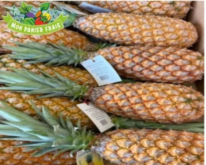 Ananas pain de sucre la pièce
