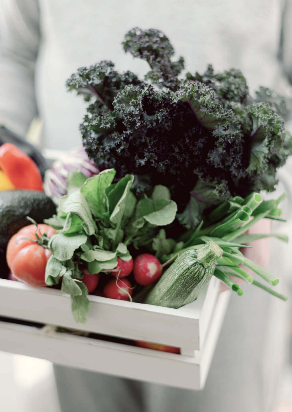 Livraison fruits légumes Toulouse Livraison fruits légumes Toulouse